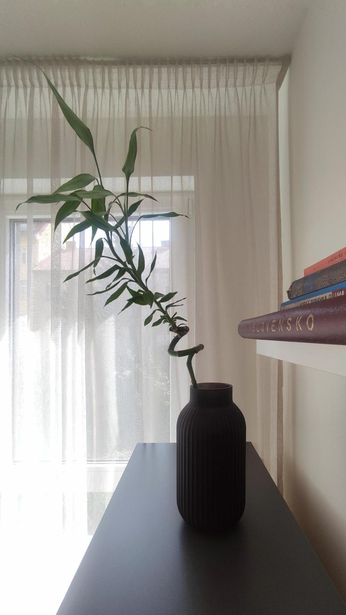 ברטיסלאבה Elegant Escape Apartment II - City Centre מראה חיצוני תמונה